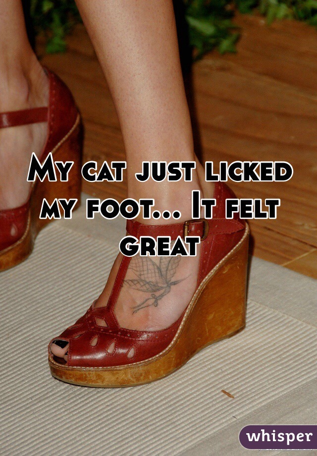 My cat just licked my foot... It felt great