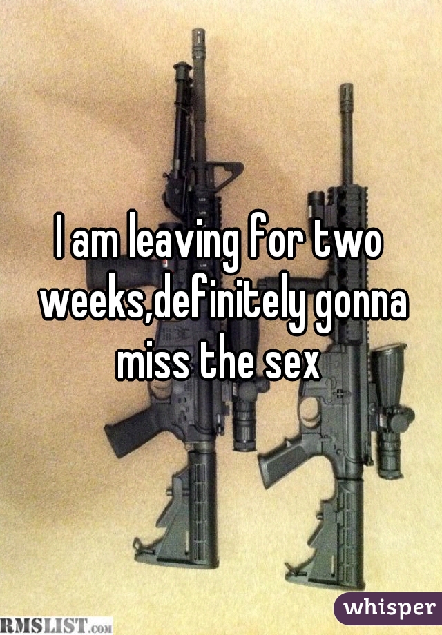 I am leaving for two weeks,definitely gonna miss the sex 