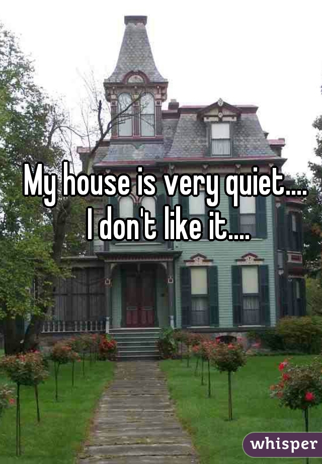 My house is very quiet.... 
I don't like it....