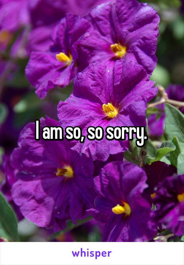 I am so, so sorry. 