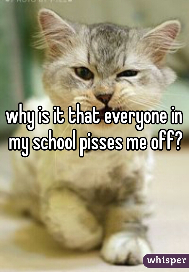why is it that everyone in my school pisses me off?