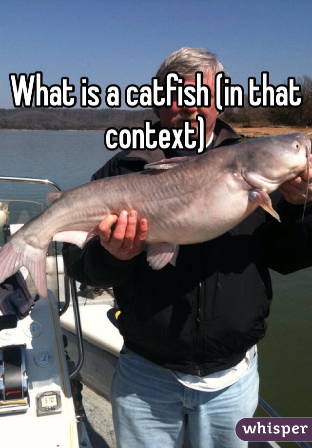 What is a catfish (in that context) 