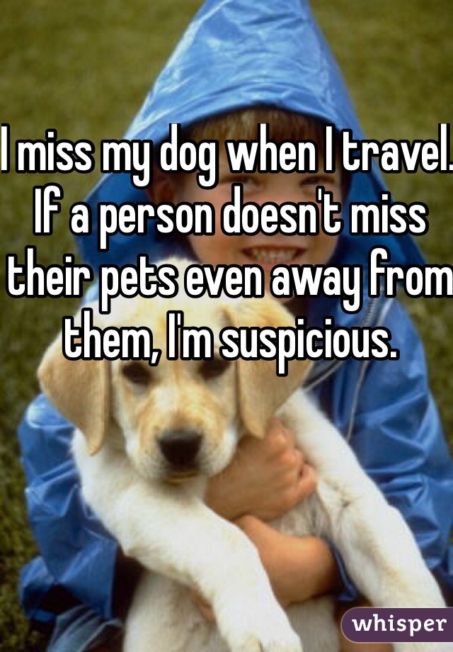 I miss my dog when I travel. If a person doesn't miss their pets even away from them, I'm suspicious. 