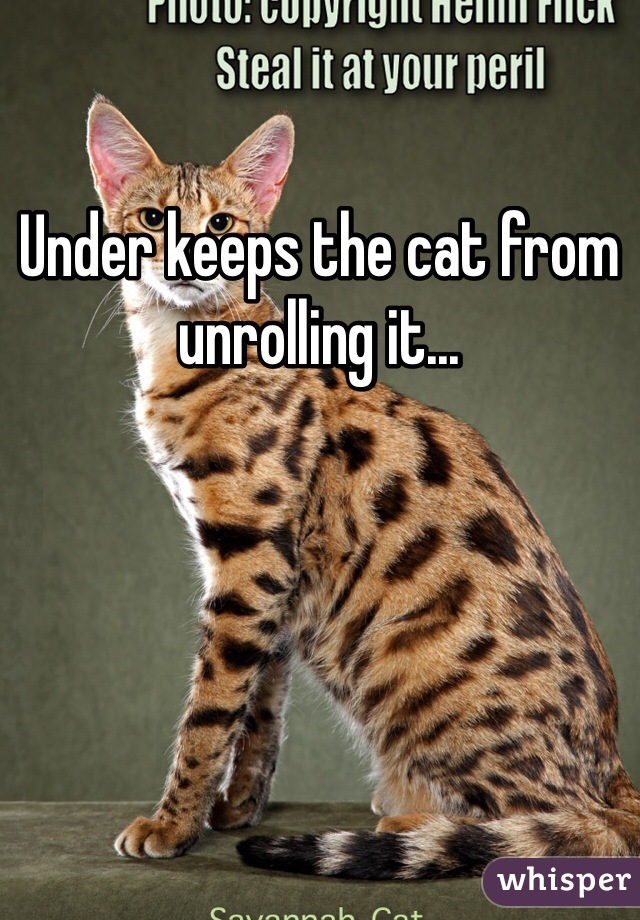 Under keeps the cat from unrolling it...