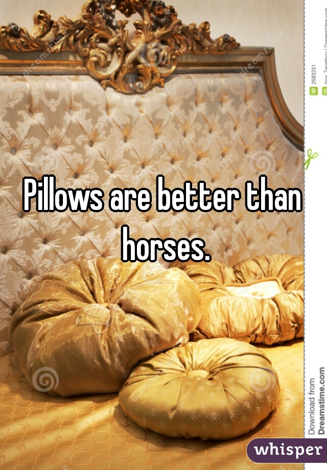 Pillows are better than horses.