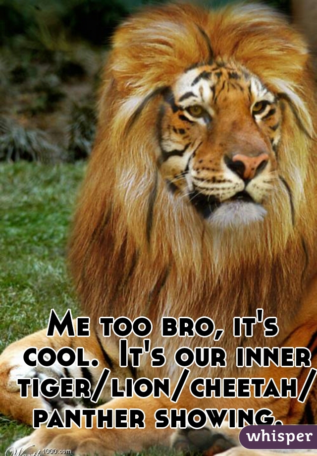 Me too bro, it's cool.  It's our inner tiger/lion/cheetah/panther showing. 
