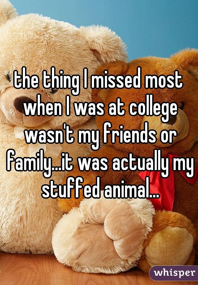 the thing I missed most when I was at college wasn't my friends or family...it was actually my stuffed animal...