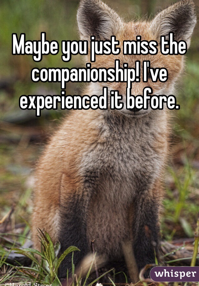 Maybe you just miss the companionship! I've experienced it before.