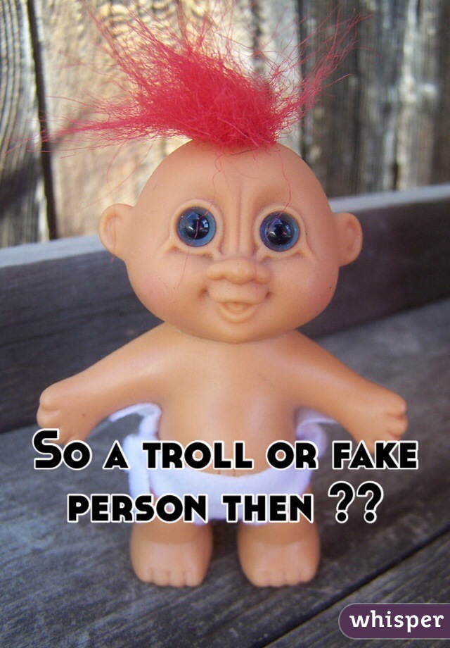 So a troll or fake person then ??