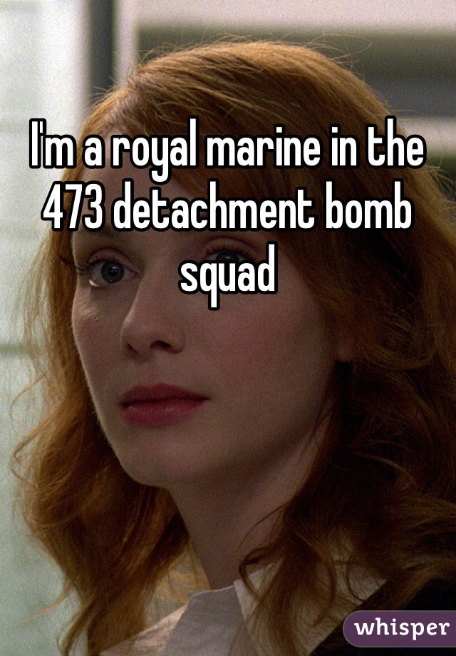 I'm a royal marine in the 473 detachment bomb squad