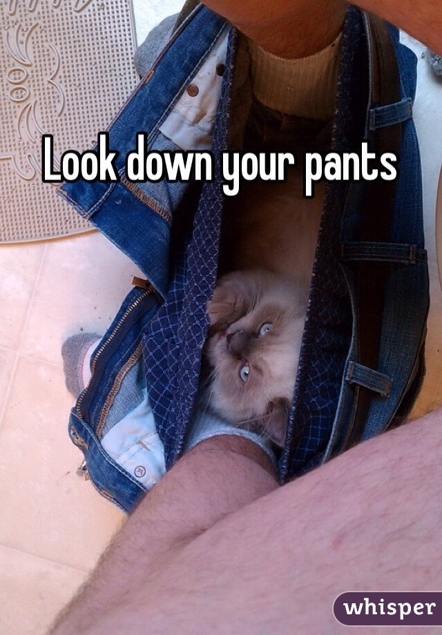 Look down your pants