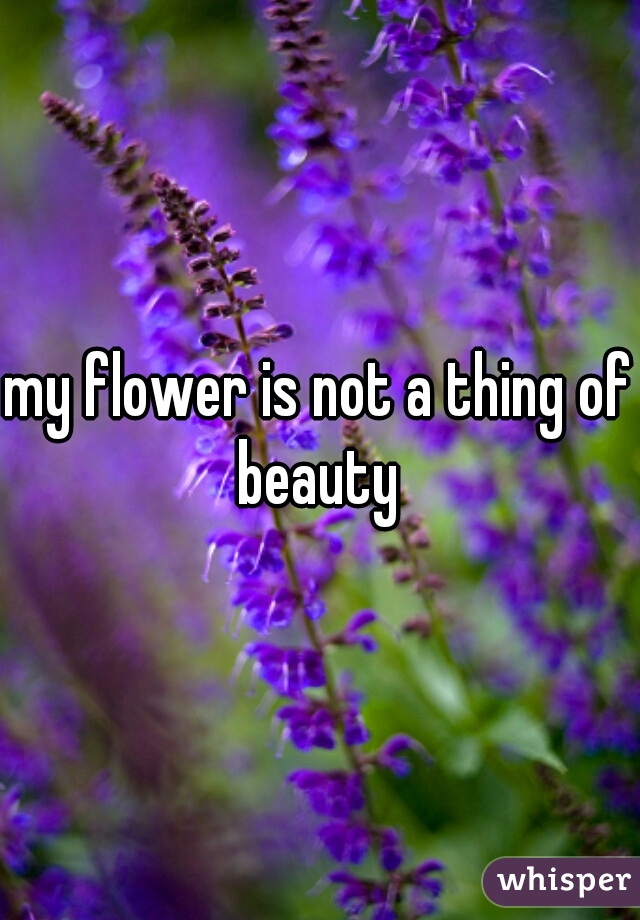 my flower is not a thing of beauty 