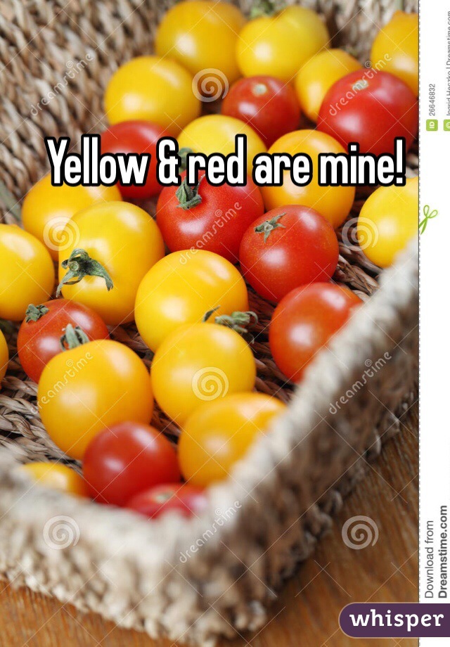 Yellow & red are mine!