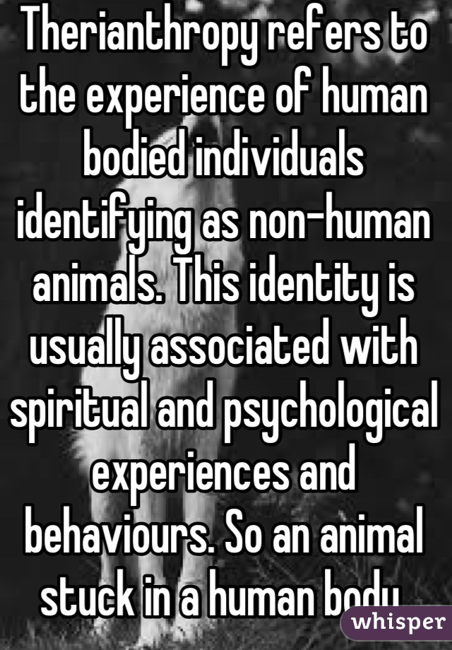 Therianthropy refers to the experience of human bodied individuals identifying as non-human animals. This identity is usually associated with spiritual and psychological experiences and behaviours. So an animal stuck in a human body.