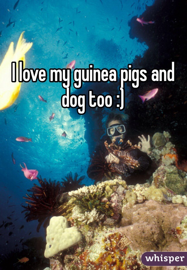 I love my guinea pigs and dog too :) 