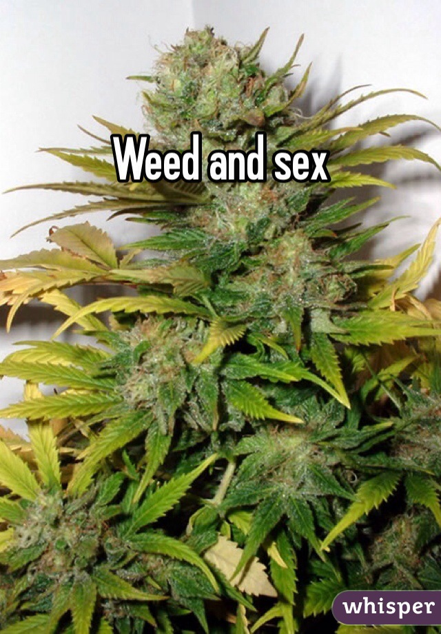 Weed and sex 