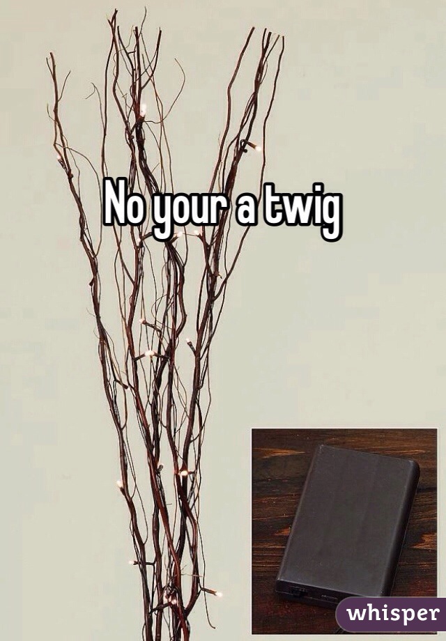No your a twig 