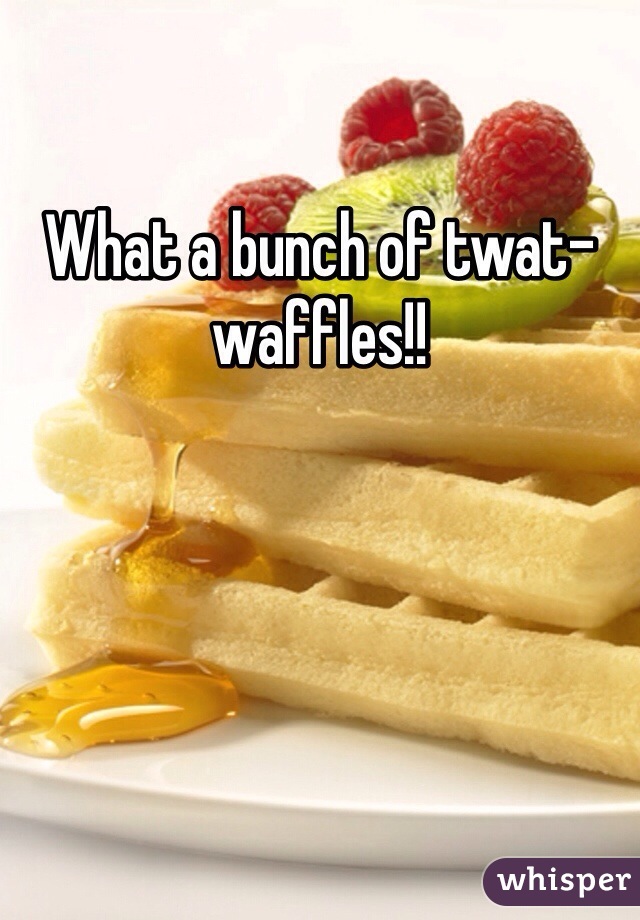 What a bunch of twat-waffles!!