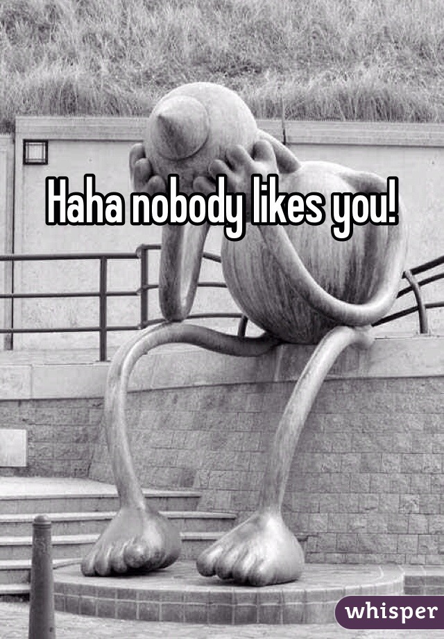 Haha nobody likes you!