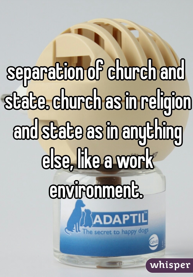 separation of church and state. church as in religion and state as in anything else, like a work environment. 