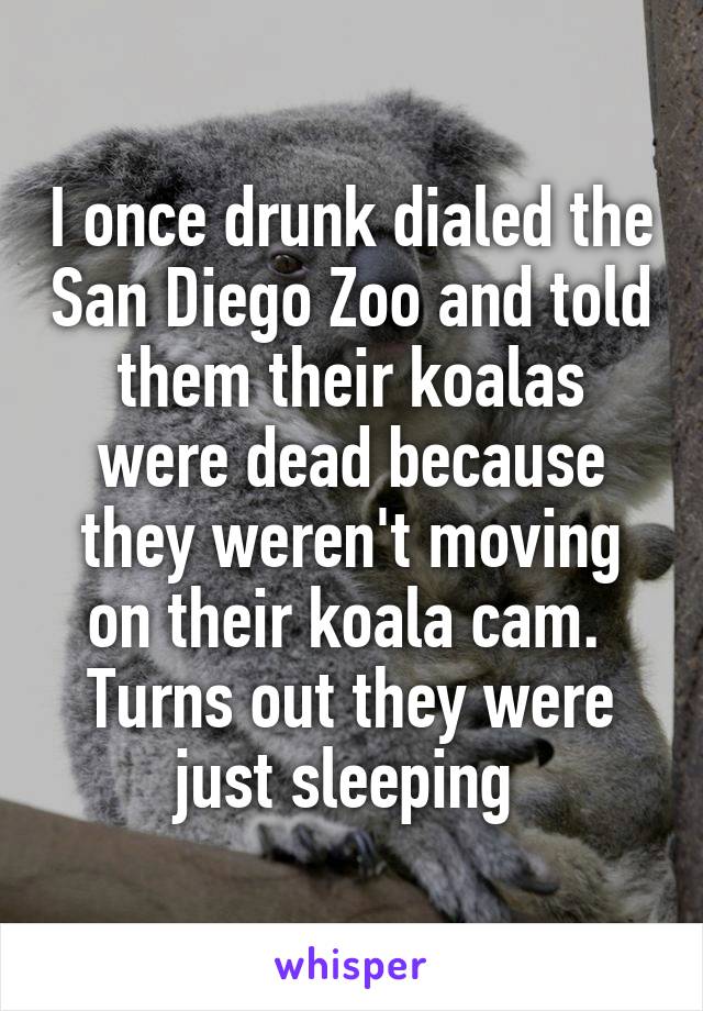 I once drunk dialed the San Diego Zoo and told them their koalas were dead because they weren't moving on their koala cam.  Turns out they were just sleeping 