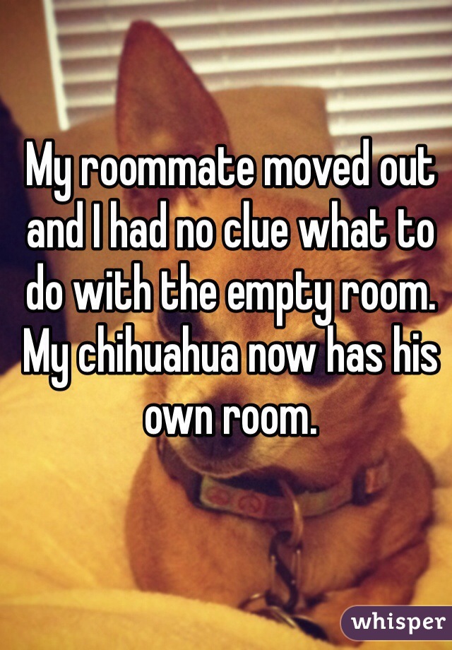 My roommate moved out and I had no clue what to do with the empty room. My chihuahua now has his own room. 