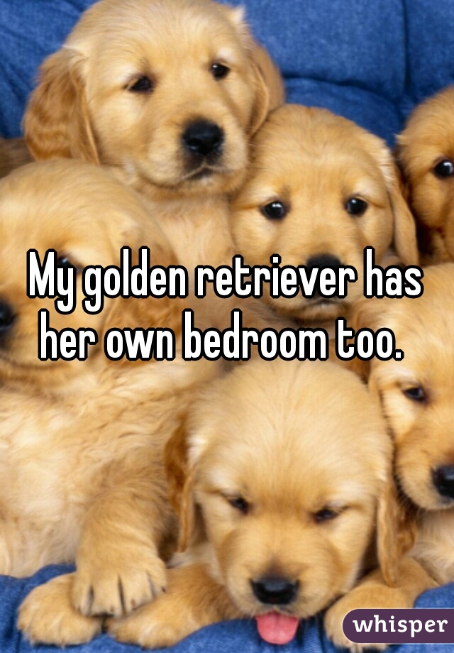 My golden retriever has her own bedroom too.  