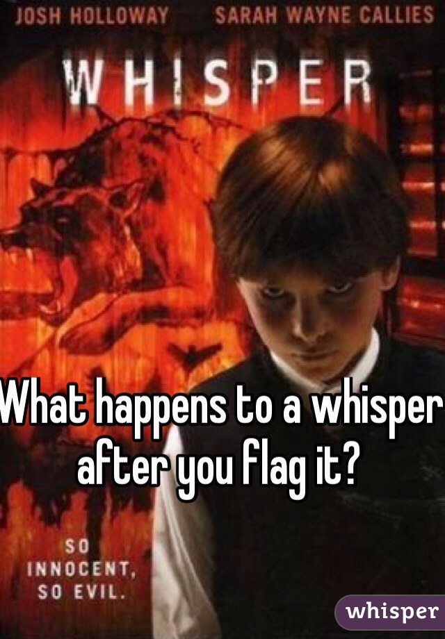 What happens to a whisper after you flag it? 