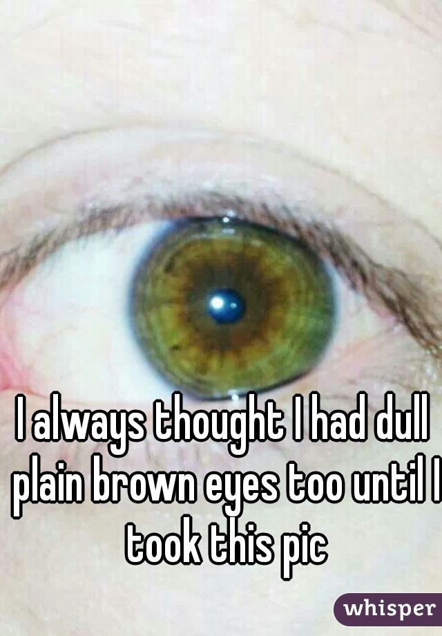 I always thought I had dull plain brown eyes too until I took this pic