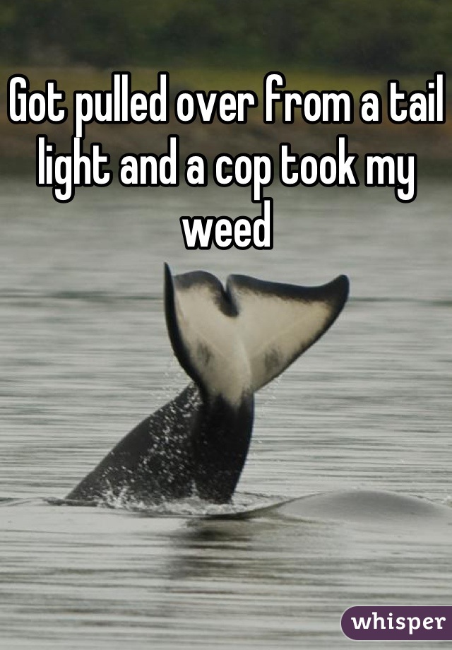 Got pulled over from a tail light and a cop took my weed