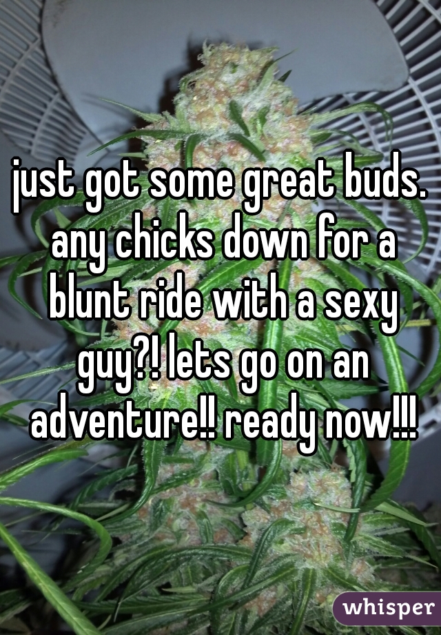 just got some great buds. any chicks down for a blunt ride with a sexy guy?! lets go on an adventure!! ready now!!!