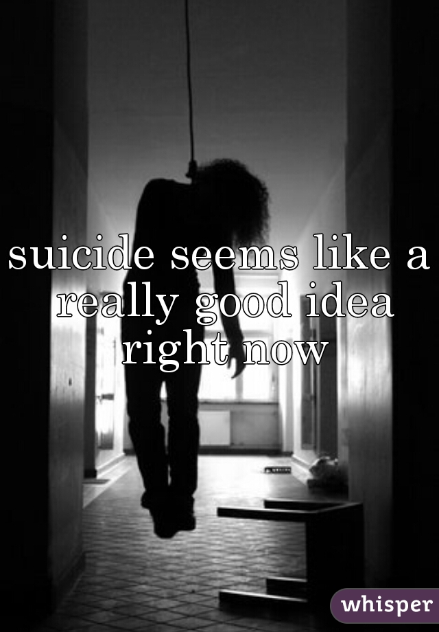 suicide seems like a really good idea right now