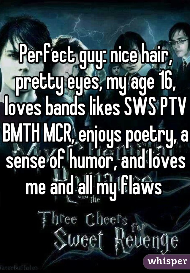 Perfect guy: nice hair, pretty eyes, my age 16, loves bands likes SWS PTV BMTH MCR, enjoys poetry, a sense of humor, and loves me and all my flaws 