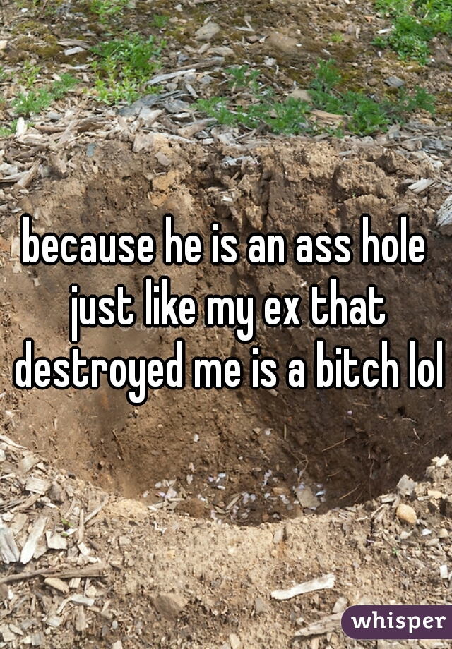 because he is an ass hole just like my ex that destroyed me is a bitch lol