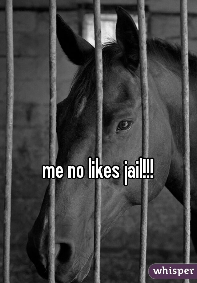 me no likes jail!!!