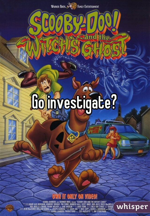 Go investigate?