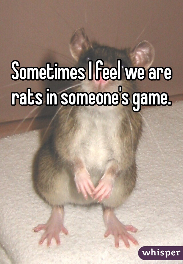 Sometimes I feel we are rats in someone's game. 