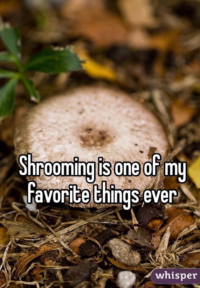 Shrooming is one of my favorite things ever 