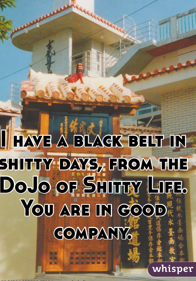 I have a black belt in shitty days, from the DoJo of Shitty Life.  You are in good company. 