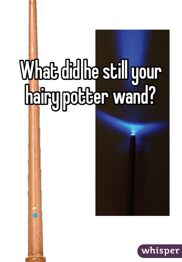 What did he still your hairy potter wand? 