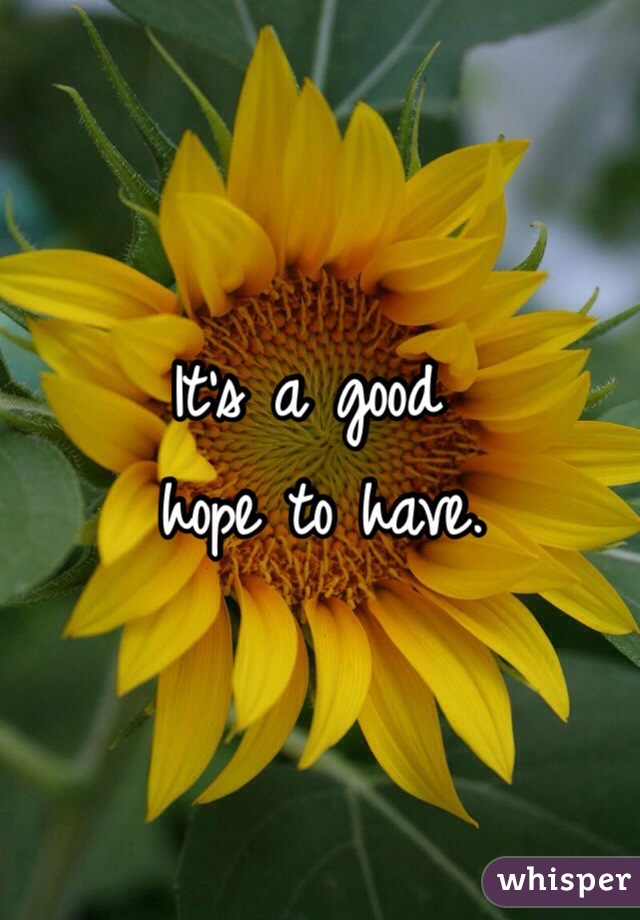 It's a good
 hope to have. 