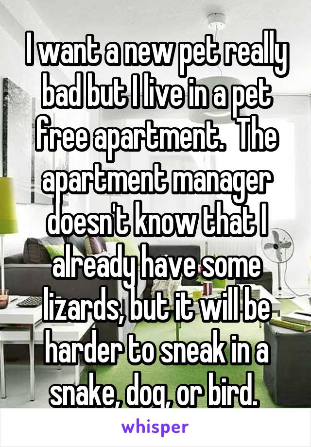 I want a new pet really bad but I live in a pet free apartment.  The apartment manager doesn't know that I already have some lizards, but it will be harder to sneak in a snake, dog, or bird. 