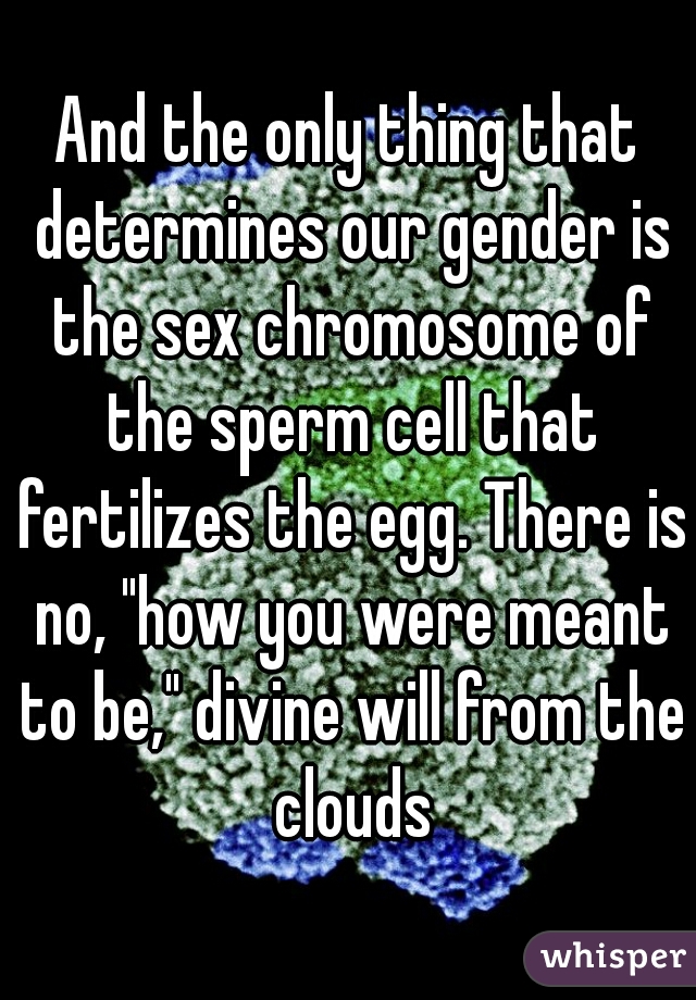 And the only thing that determines our gender is the sex chromosome of the sperm cell that fertilizes the egg. There is no, "how you were meant to be," divine will from the clouds