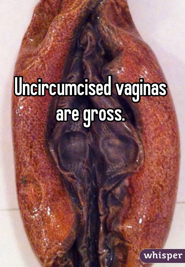 Uncircumcised vaginas are gross. 