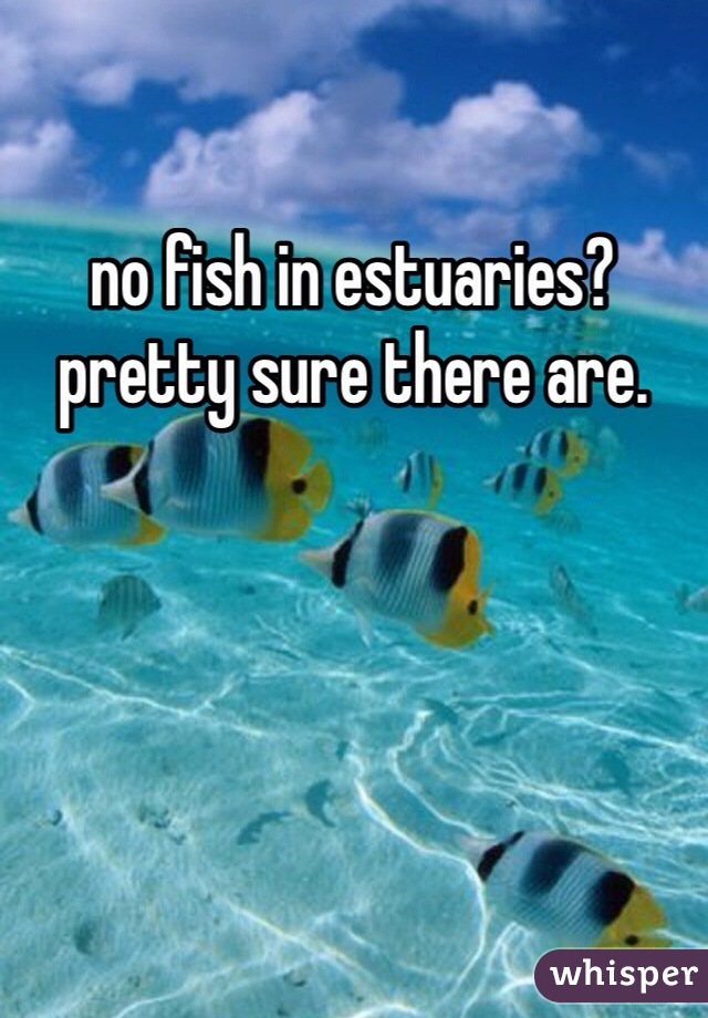 no fish in estuaries?  pretty sure there are. 