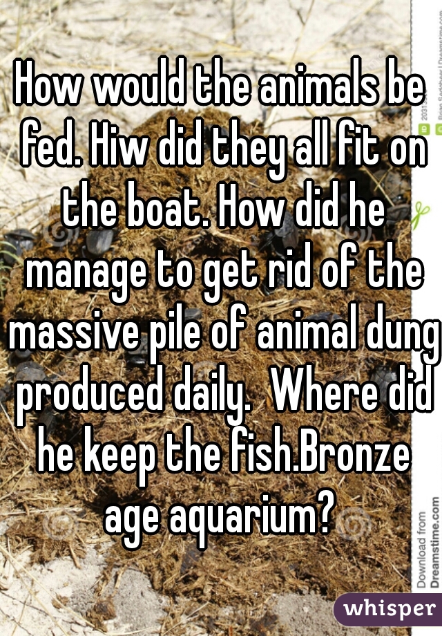 How would the animals be fed. Hiw did they all fit on the boat. How did he manage to get rid of the massive pile of animal dung produced daily.  Where did he keep the fish.Bronze age aquarium? 