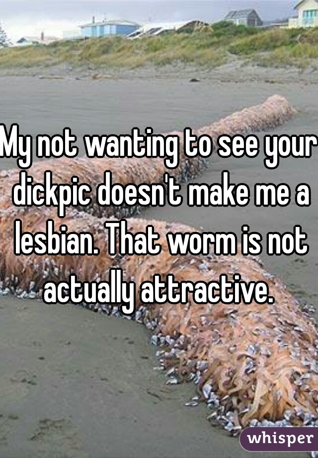 My not wanting to see your dickpic doesn't make me a lesbian. That worm is not actually attractive. 