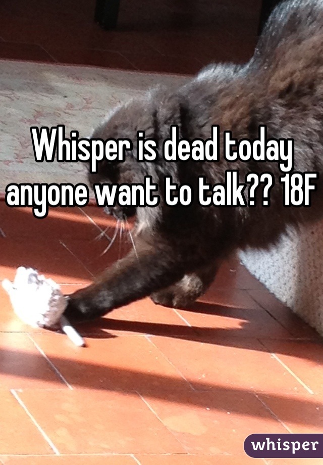 Whisper is dead today anyone want to talk?? 18F