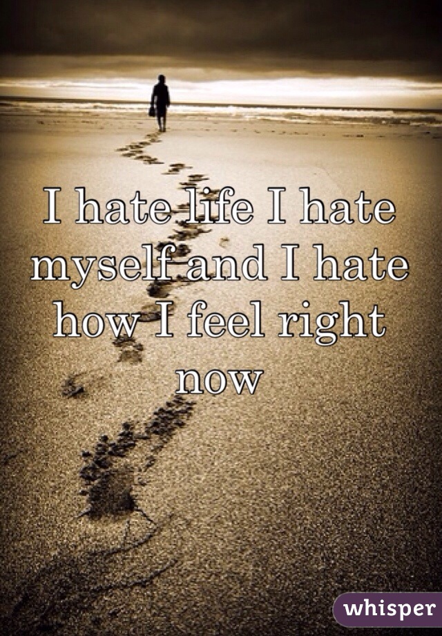 I hate life I hate myself and I hate how I feel right now 