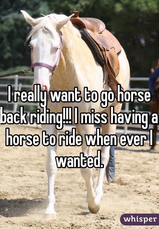 I really want to go horse back riding!!! I miss having a horse to ride when ever I wanted. 